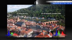 Smart Tivi Samsung Crystal UHD 4K 75 inch UA75AU8000 [ 75AU8000 ] - Chính Hãng