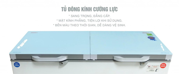 Tủ đông 1 ngăn 2 cánh 235 lít inverter Sanaky VH-2899A4KD (mặt kính cường lực xanh)