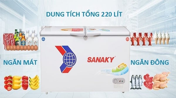 Tủ đông 1 ngăn 2 cánh mở Sanaky VH 4099A1