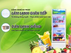 Tủ mát Inverter Sanaky VH-2589K3 240 lít