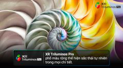 Google Tivi OLED Sony 4K 77 inch XR-77A80L [ 77A80L ]