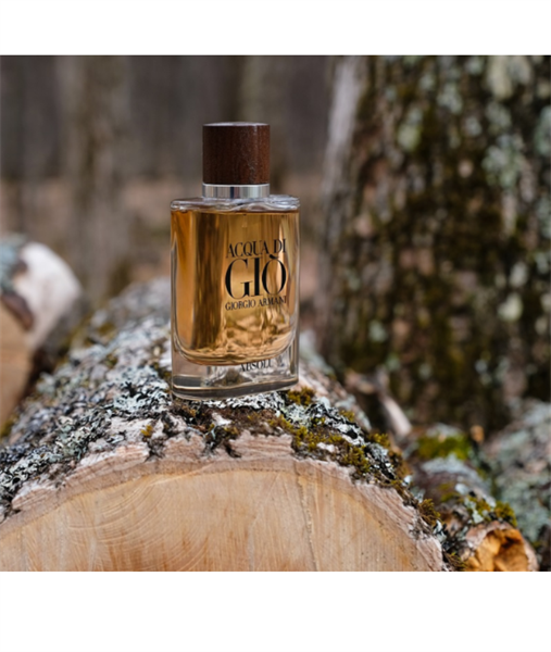 Giorgio Armani Giò Absolu EDP