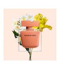 Narciso Ambree EDP
