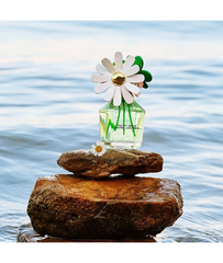 Marc Jacobs Daisy Wild EDP