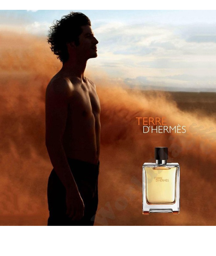 Hermes Terre D’Hermes Parfum