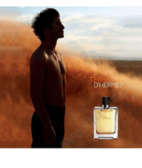 Hermes Terre D’Hermes Parfum
