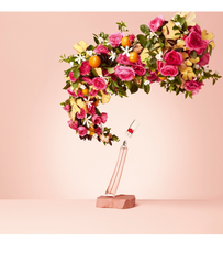 Set Flower By Kenzo Eau De Vie