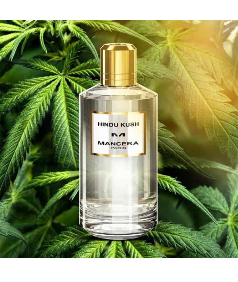 Mancera Hindu Kush EDP