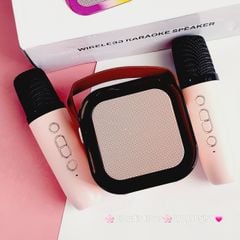 Loa Karaoke Kèm 2 Micro Bluetooth Mini K12 10W