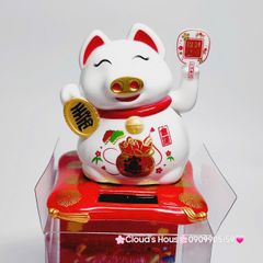 Heo Thần Tài - Heo May mắn Tai Mèo Nhựa Tay vẫy cầm quạt