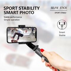 Gimbal Stabilizer Gậy Chống Rung L08