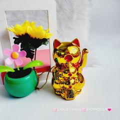 Mèo Thần Tài mẹ cõng con mang may mắn đến mọi nhà