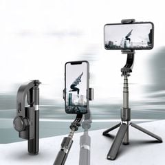 Gimbal Stabilizer Gậy Chống Rung L08