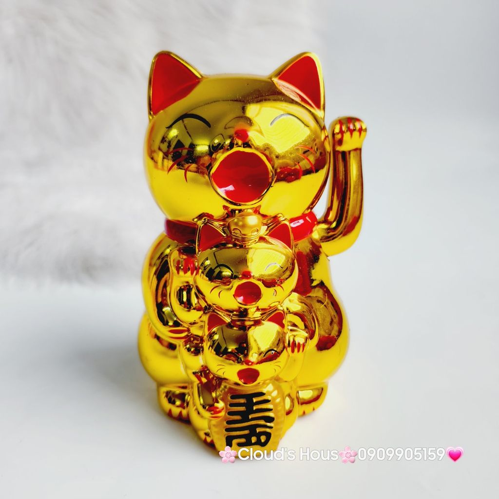 Mèo Thần Tài mẹ cõng con mang may mắn đến mọi nhà