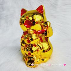 Mèo Thần Tài mẹ cõng con mang may mắn đến mọi nhà