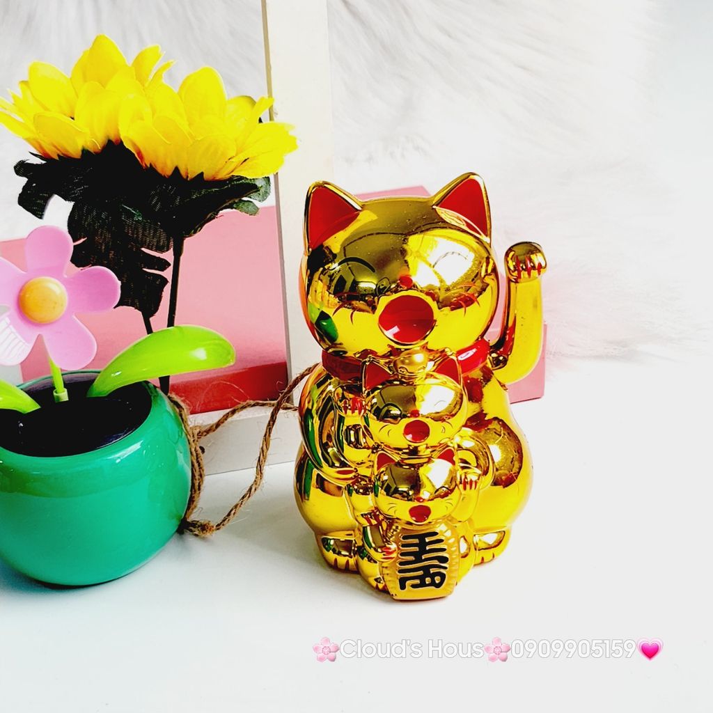 Mèo Thần Tài mẹ cõng con mang may mắn đến mọi nhà