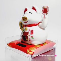Heo Thần Tài - Heo May mắn Tai Mèo Nhựa Tay vẫy cầm quạt