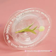 POPSOCKET Trong Suốt