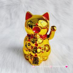 Mèo Thần Tài mẹ cõng con mang may mắn đến mọi nhà