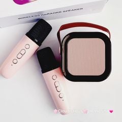 Loa Karaoke Kèm 2 Micro Bluetooth Mini K12 10W