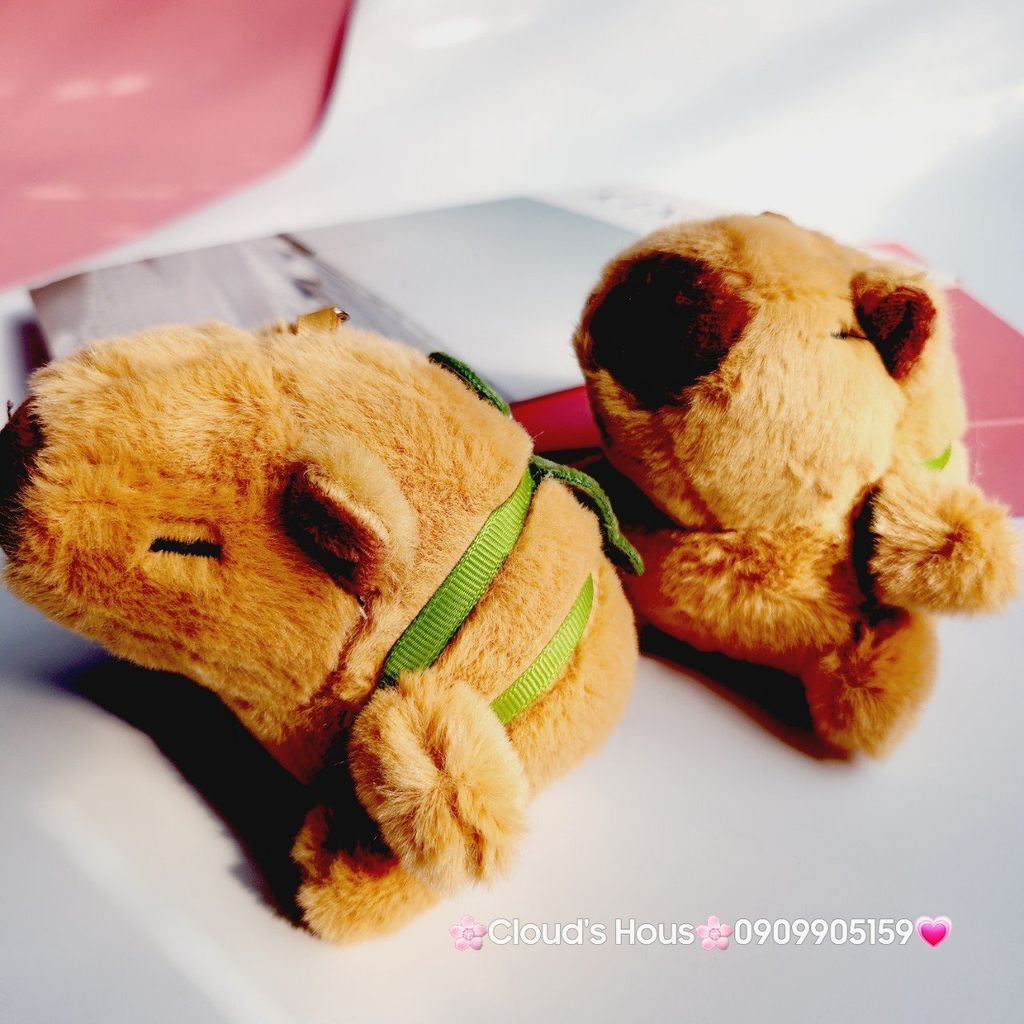 Móc Khóa Gấu Bông Chuột Capybara Đeo Balo Rùa