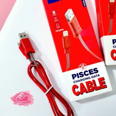 Cáp sạc Chính hãng Hoco X24