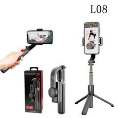 Gimbal Stabilizer Gậy Chống Rung L08