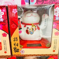 Mèo Thần Tài Sứ Tai Nhiều màu
