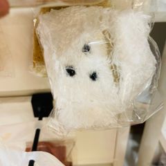 COVER AIRPOD SU DẺO GẤU BÔNG - LÔNG