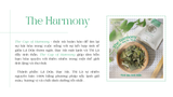  Trà Mix The Harmony ( Lá Dứa - Bạc Hà - Thì Là ) 