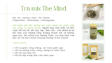  Trà Mix The Mind ( Bạc Hà - Hương Thảo - Sả Chanh ) 