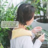  Combo Gối chườm cổ vai gáy + Túi Chườm Mix Hoa Lá Thảo Mộc 24*12cm (Màu xanh dương) 