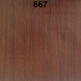  667 