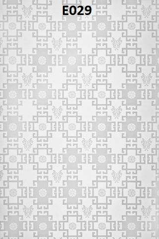  E029 