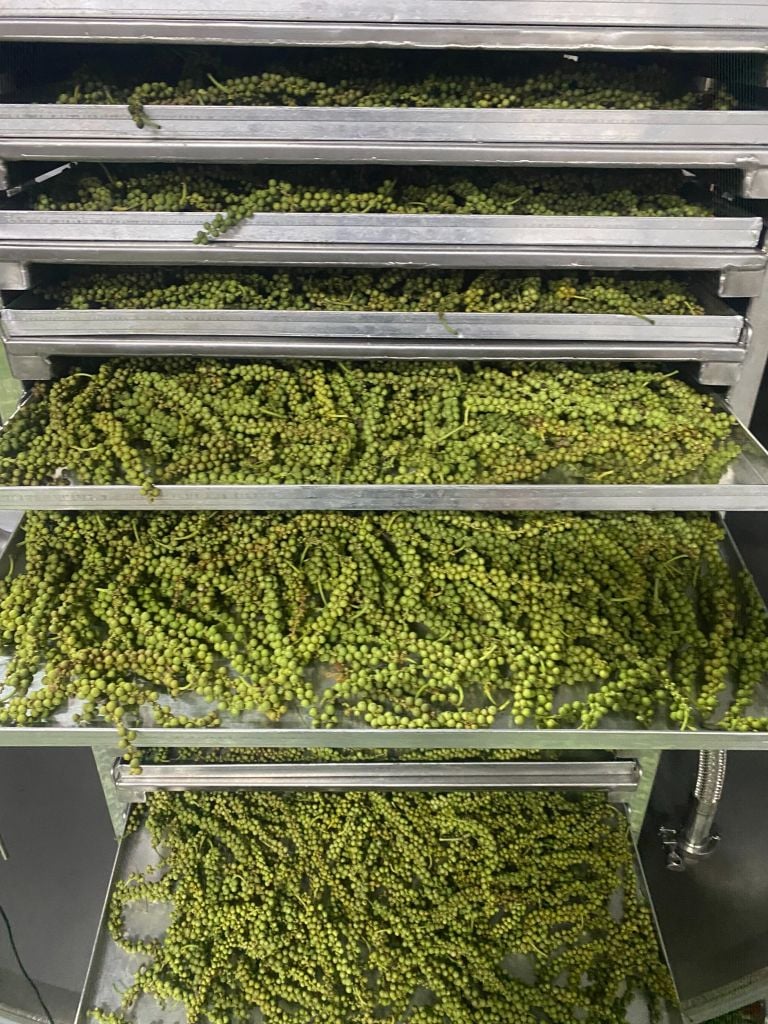 Tiêu Srilanka sấy thăng hoa