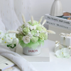 Chậu hoa nến Ceramic Vase - Avocado