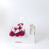 Hoa nến Bloom & Glow Pack (S,M) - Velvet