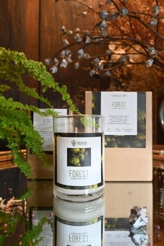  AGY-Forest 100g 