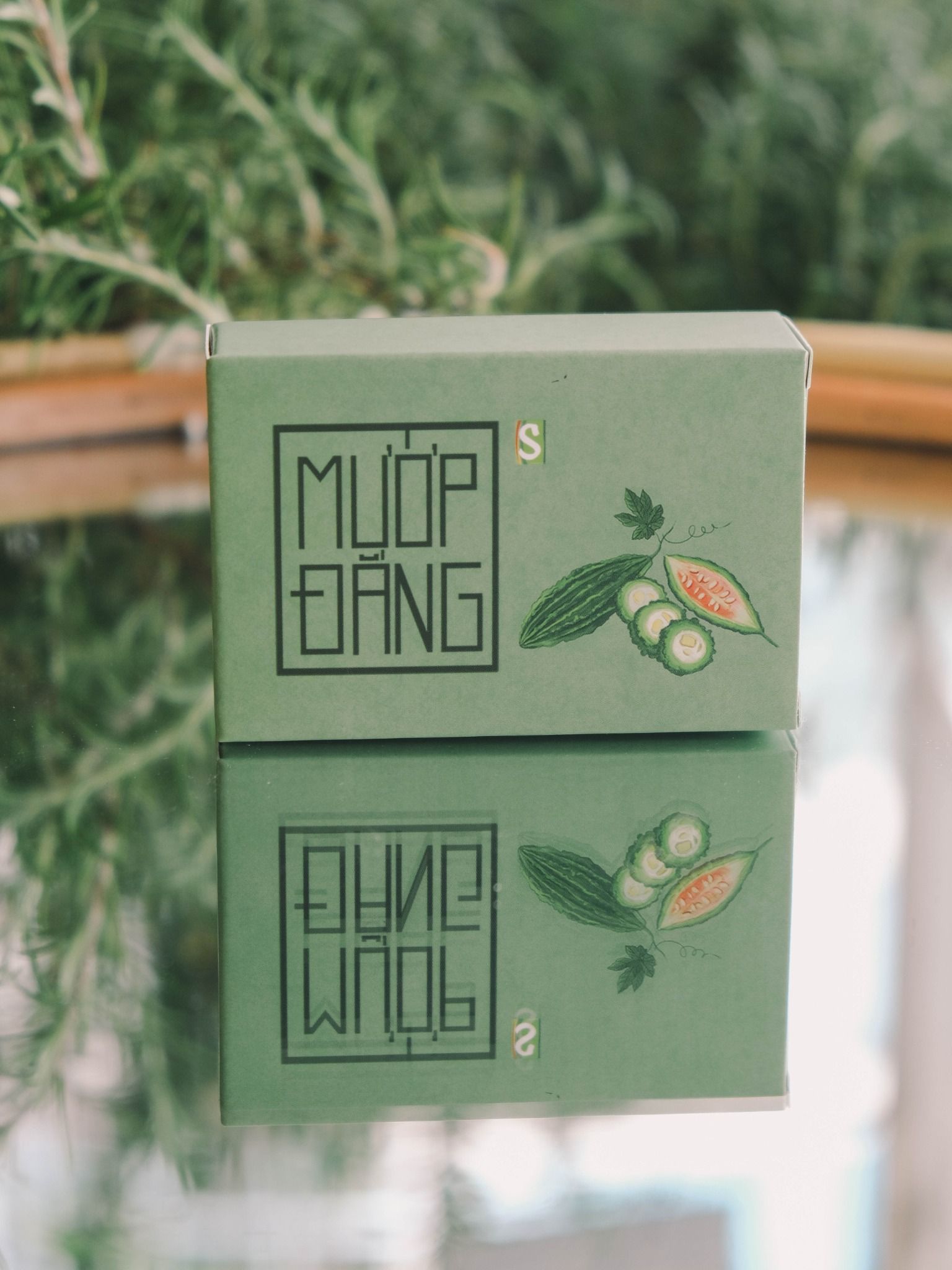 XP Mướp đắng