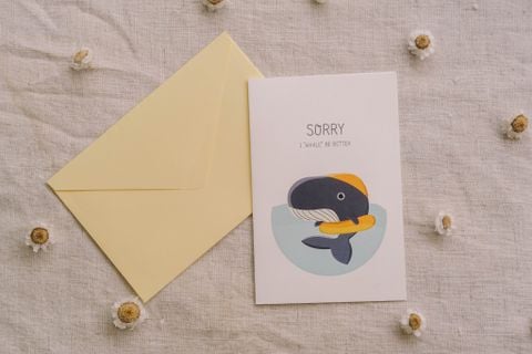  Cá Mập 