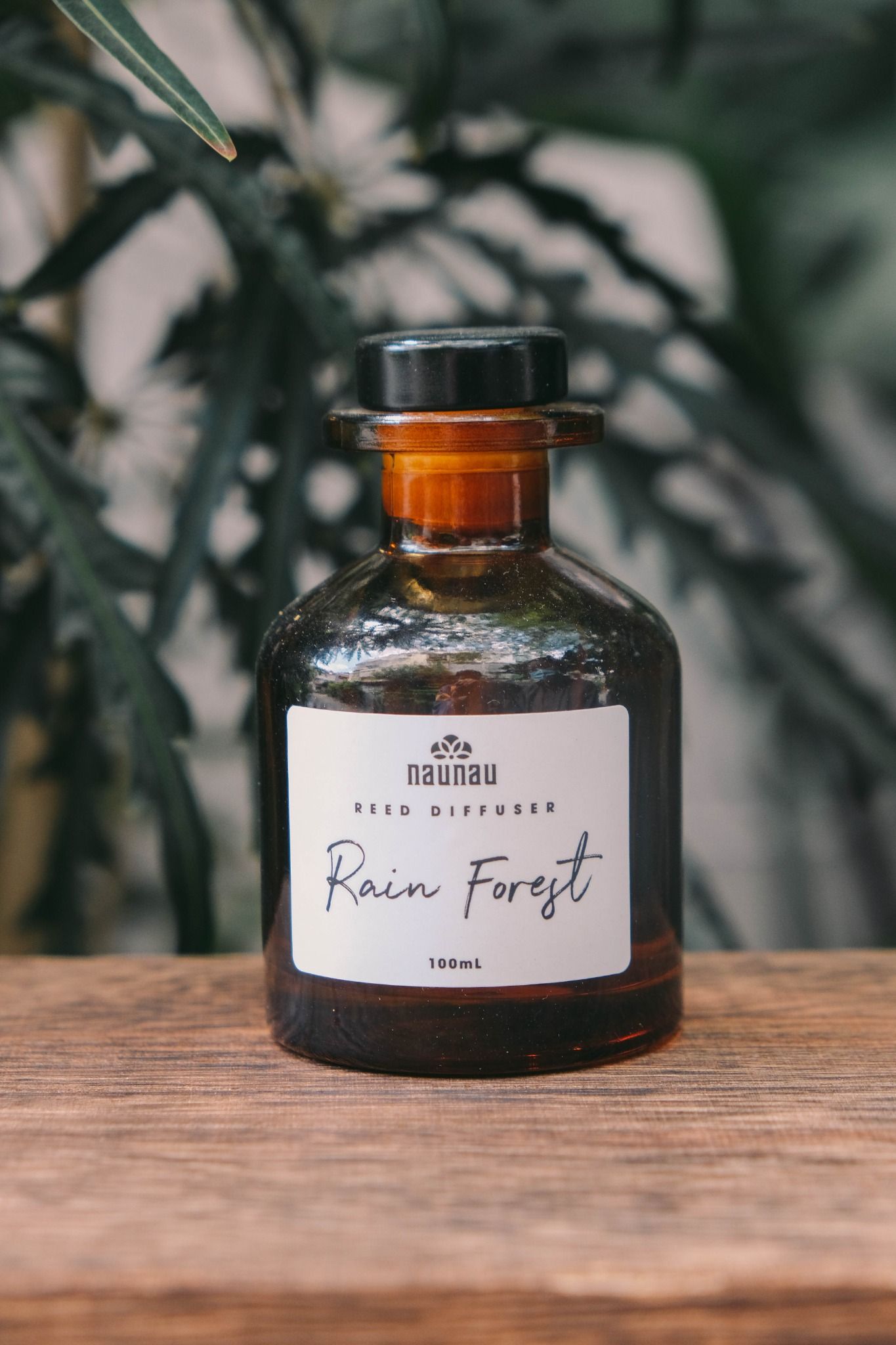 Tán hương set - Rain forest Scent