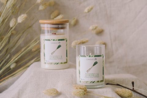  AGY-Citronella 100g 