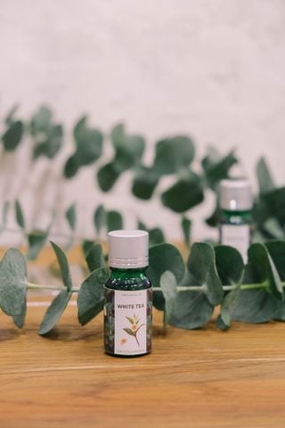  Tinh dầu Trà Trắng 