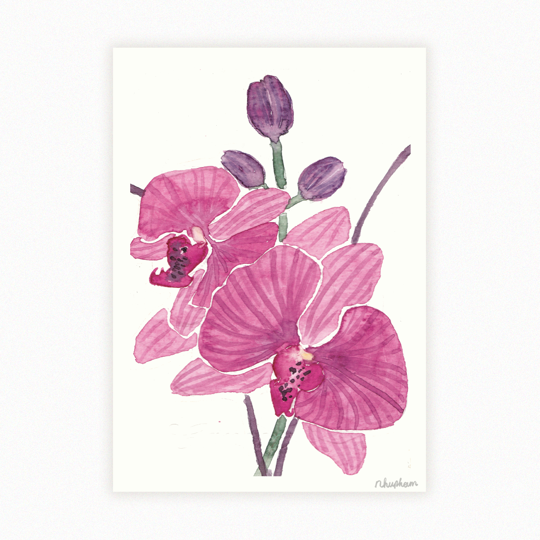 Tranh Orchid - khổ A3