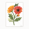 Tranh Two Daisies- khổ A3
