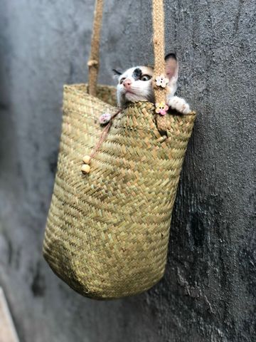  NT-Giỏ cỏ bàng tròn 