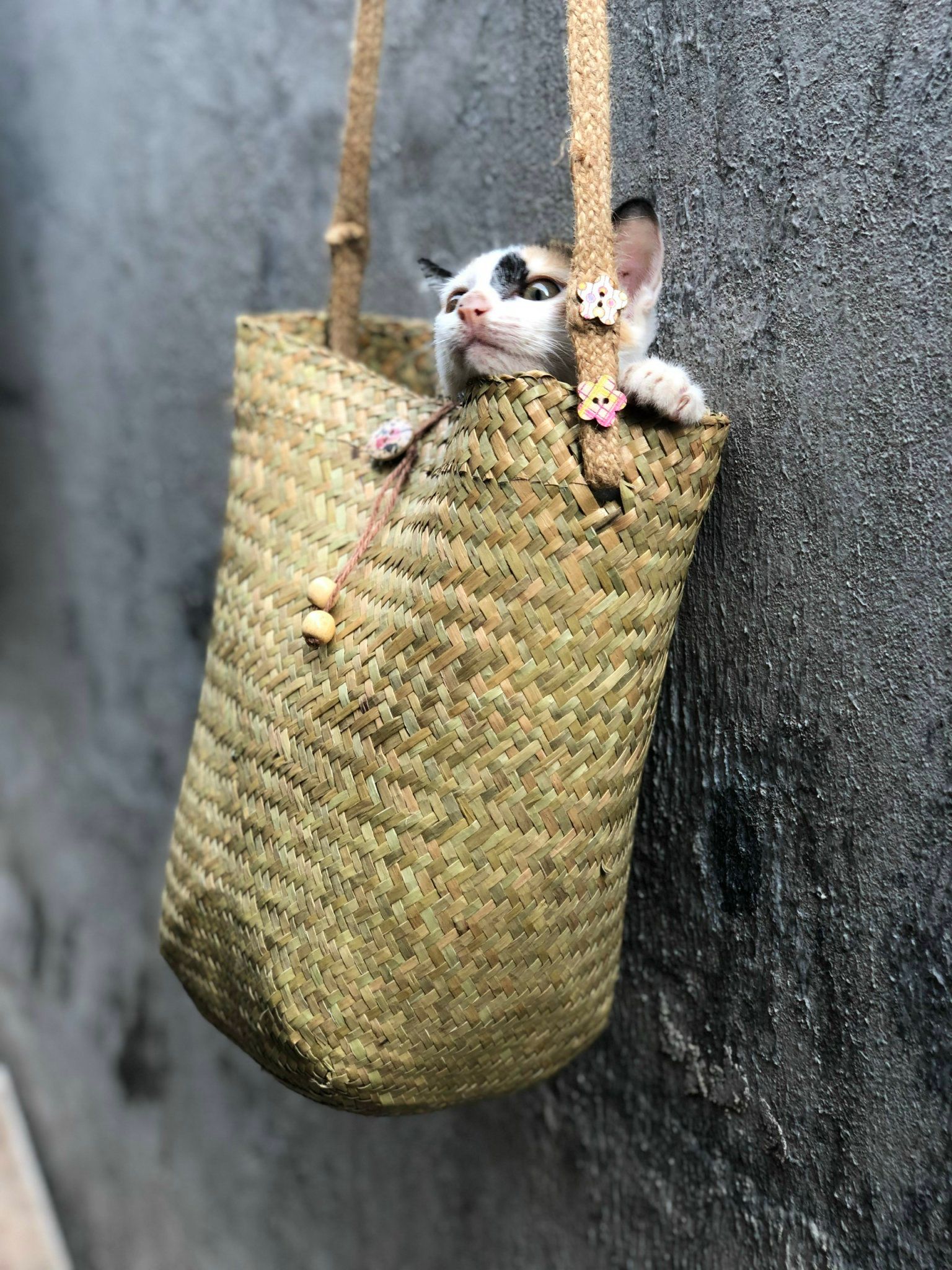 NT-Giỏ cỏ bàng tròn