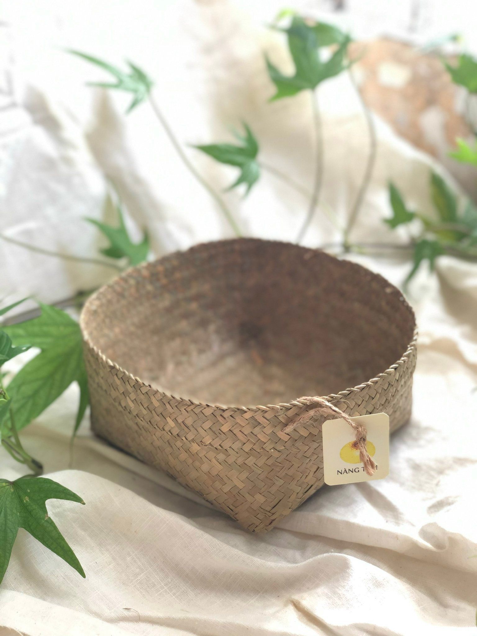 NT-Rổ cỏ bàng vuông