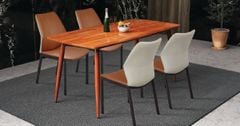 Bộ Bàn Ghế Ăn Mặt Gỗ BA03-G | GT2316