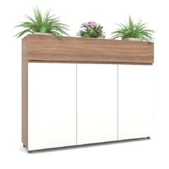 Tủ Hồ Sơ Gỗ Thấp TG02-3C